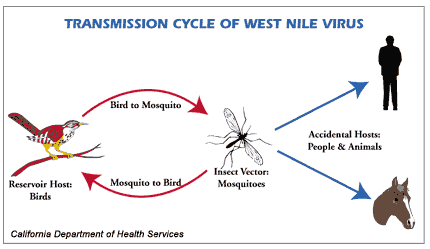 west nile