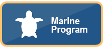 Marine Program