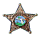 sheriff logo
