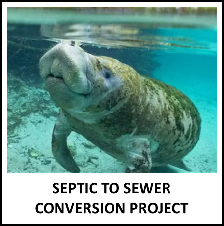 S2S icon for website