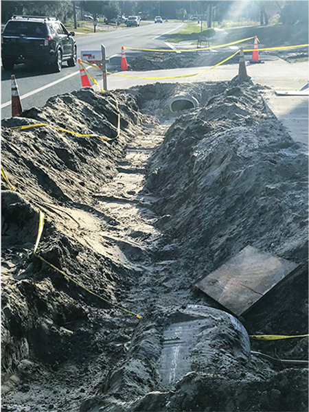 Keysville Swale - During2