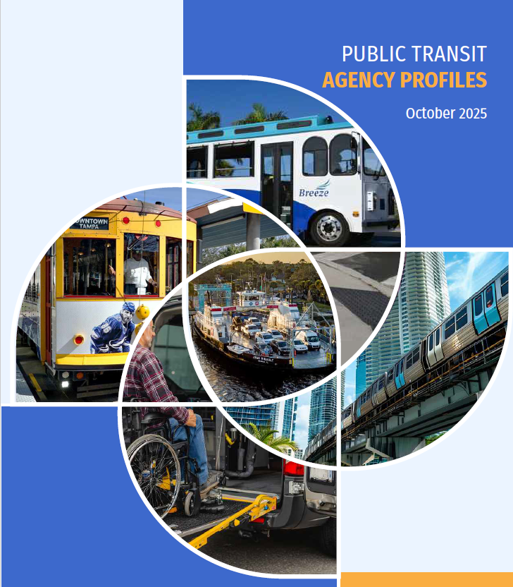 2025 Transit Profile